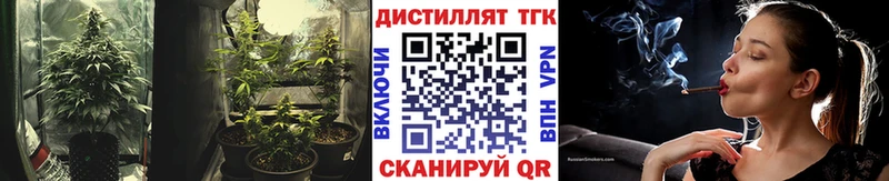 даркнет сайт  Сухиничи  МЕГА онион  ТГК жижа 