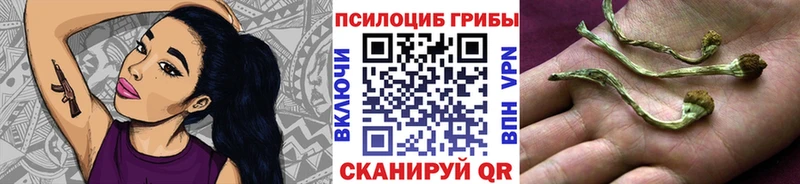 Псилоцибиновые грибы прущие грибы  закладки  Сухиничи 